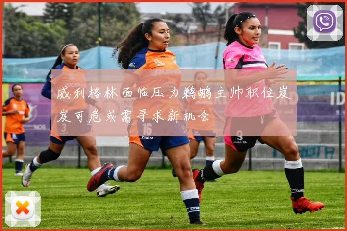 威利格林面临压力鹈鹕主帅职位岌岌可危或需寻求新机会