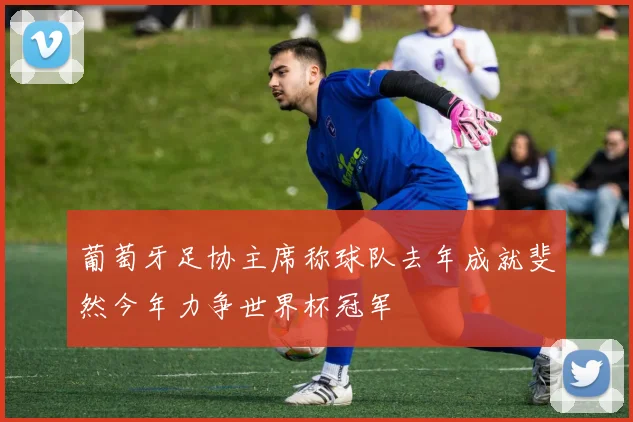 葡萄牙足协主席称球队去年成就斐然今年力争世界杯冠军