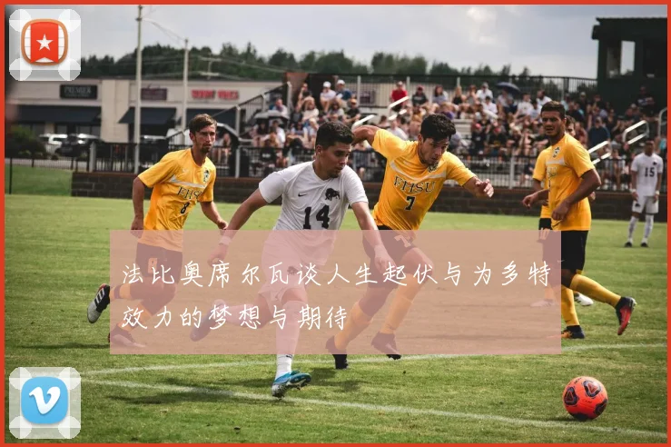法比奥席尔瓦谈人生起伏与为多特效力的梦想与期待